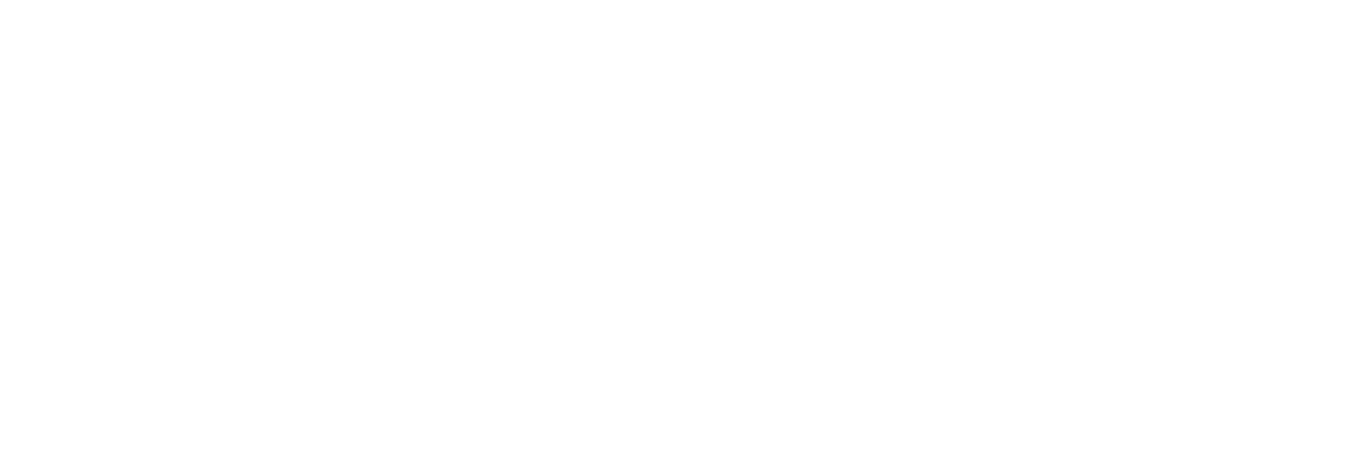 XGUARD ONE Logo